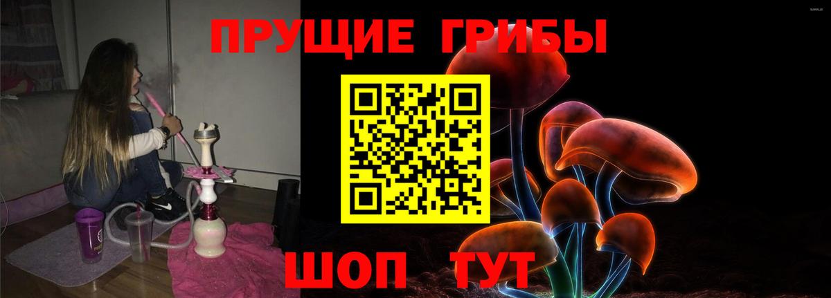 Псилоцибиновые грибы мицелий Семилуки